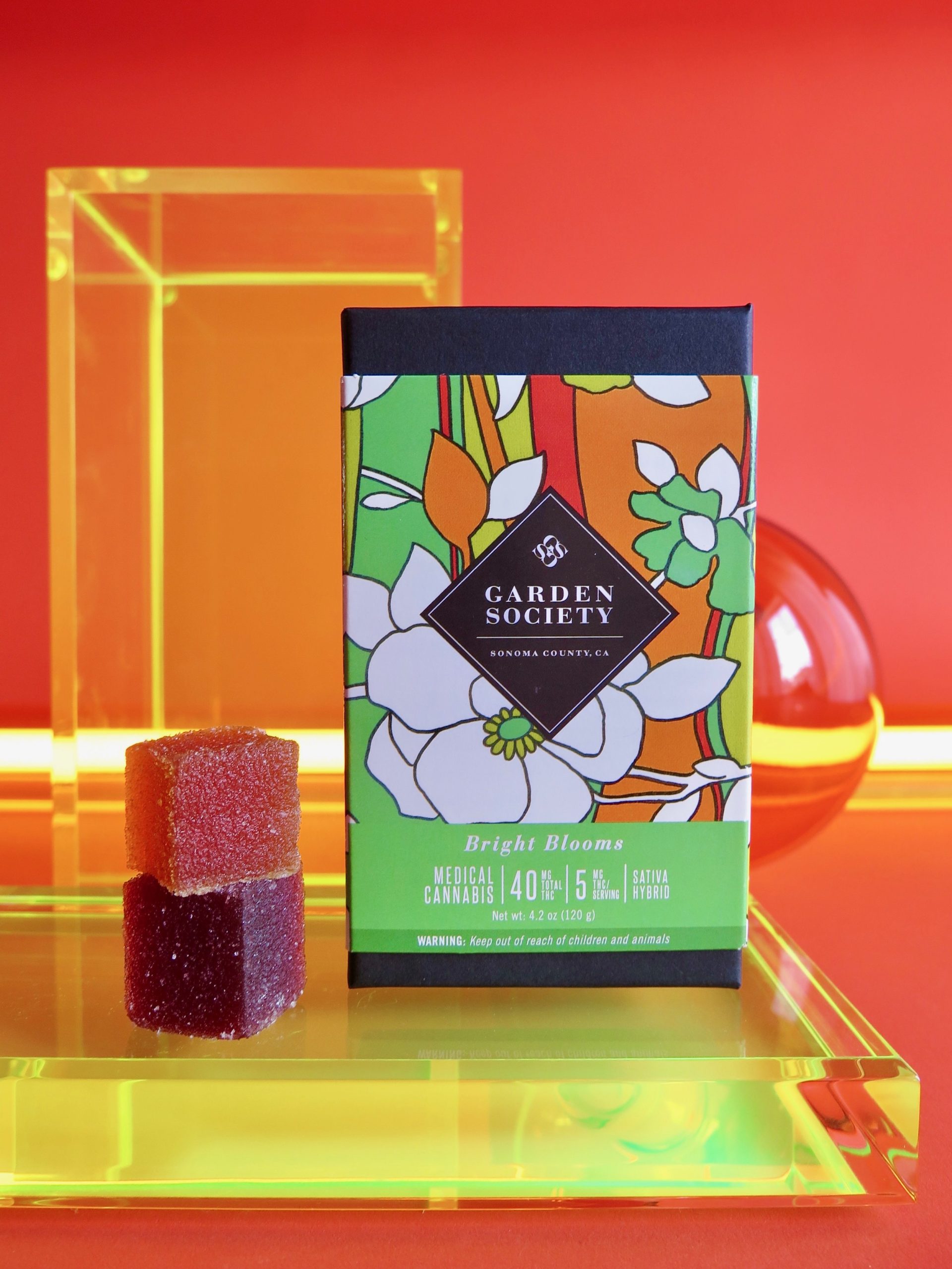 Garden Society Bright Blooms